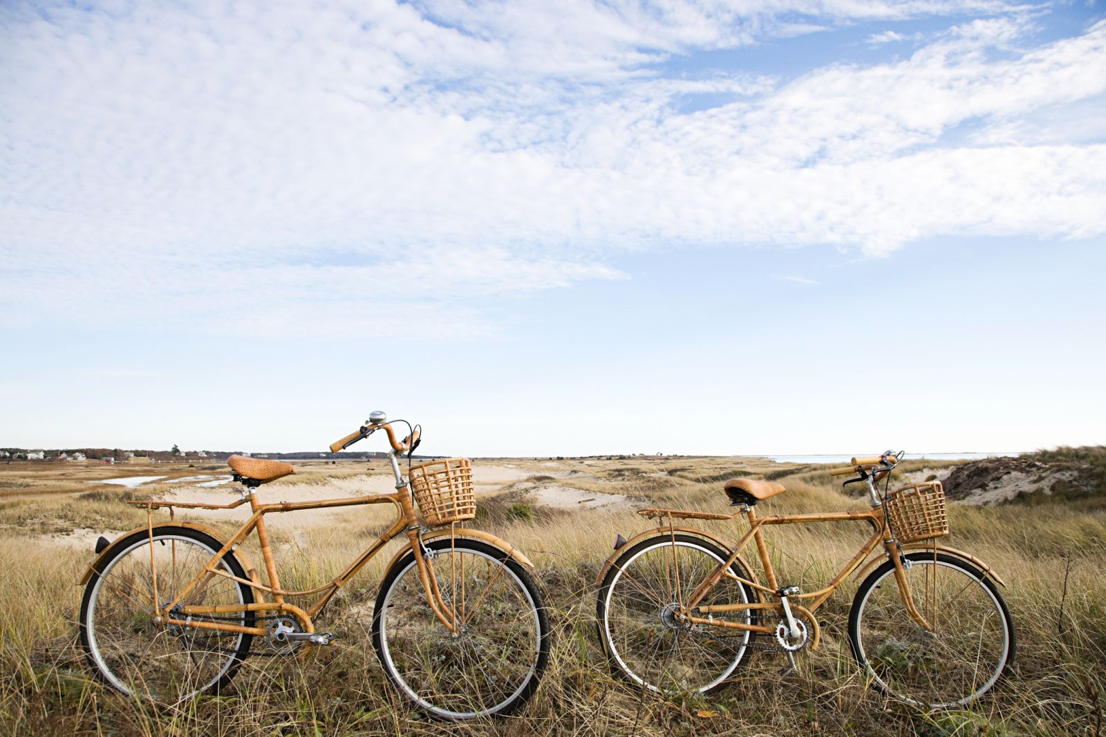 Cape Cod Rail Trail