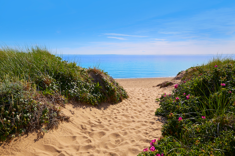 herring cove beach cape cod