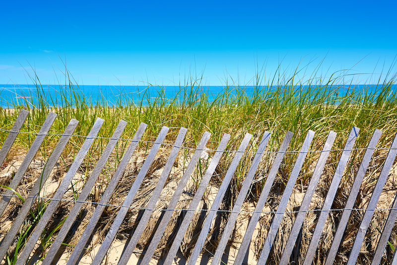 sandy neck beach in cape cod