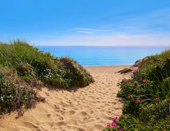 herring cove beach cape cod