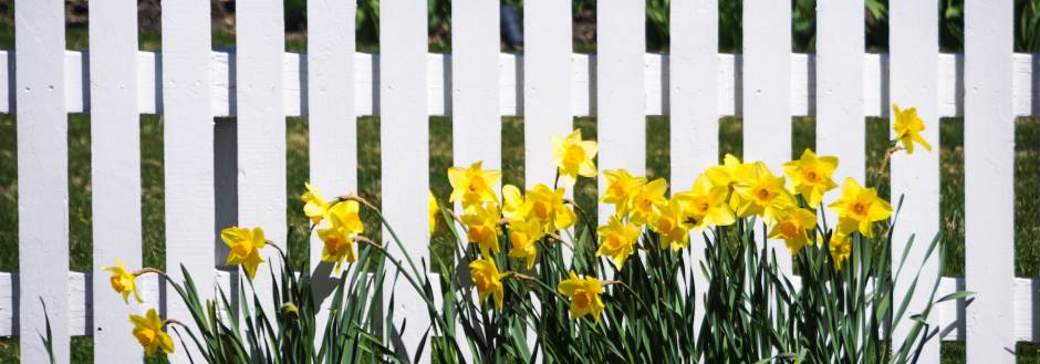 Brewster in Bloom - Cape Cod