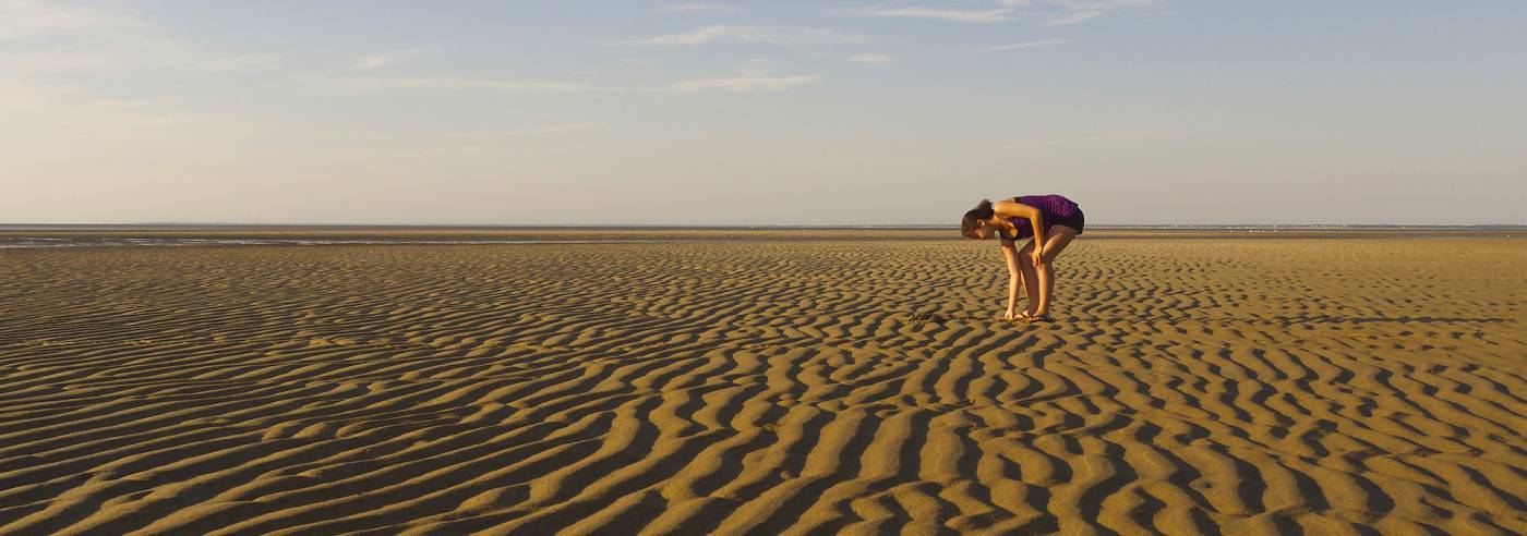 Cape Cod Brewster Mud Flats at Low Tide